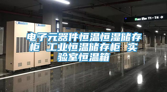 電子元器件恒溫恒濕儲存柜 工業(yè)恒溫儲存柜 實(shí)驗室恒溫箱