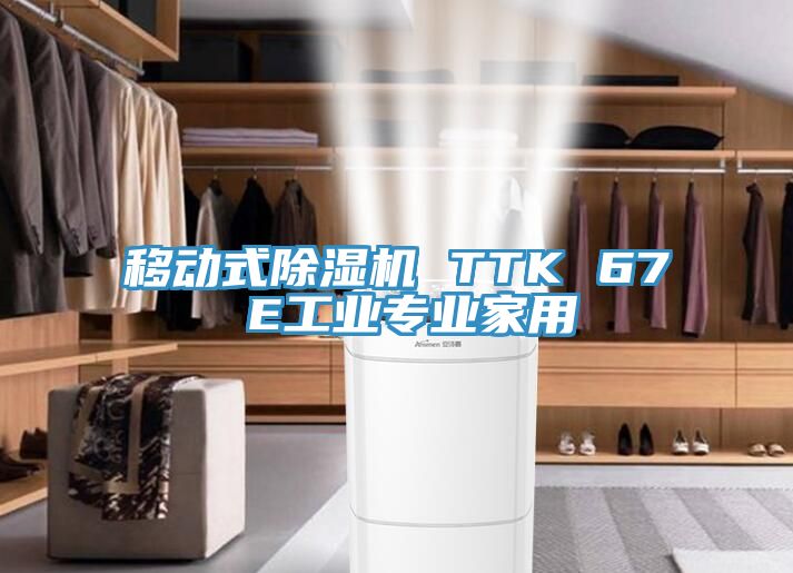 移動(dòng)式除濕機 TTK 67 E工業(yè)專(zhuān)業(yè)家用
