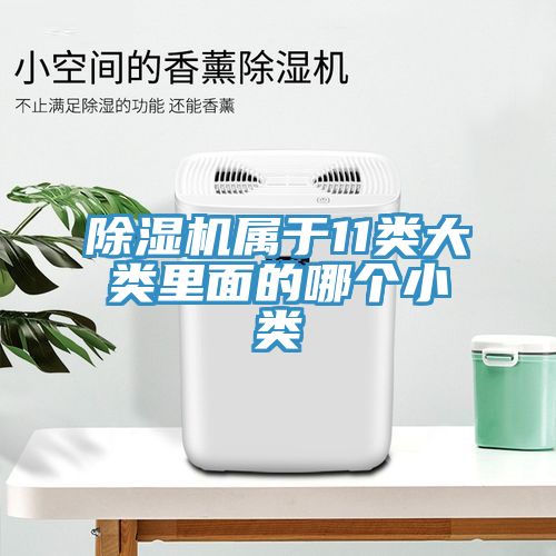 除濕機屬于11類(lèi)大類(lèi)里面的哪個(gè)小類(lèi)