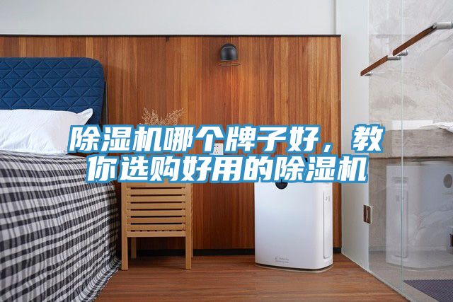 除濕機哪個(gè)牌子好，教你選購好用的除濕機