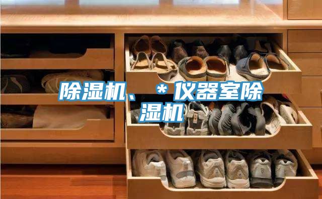 除濕機、＊儀器室除濕機