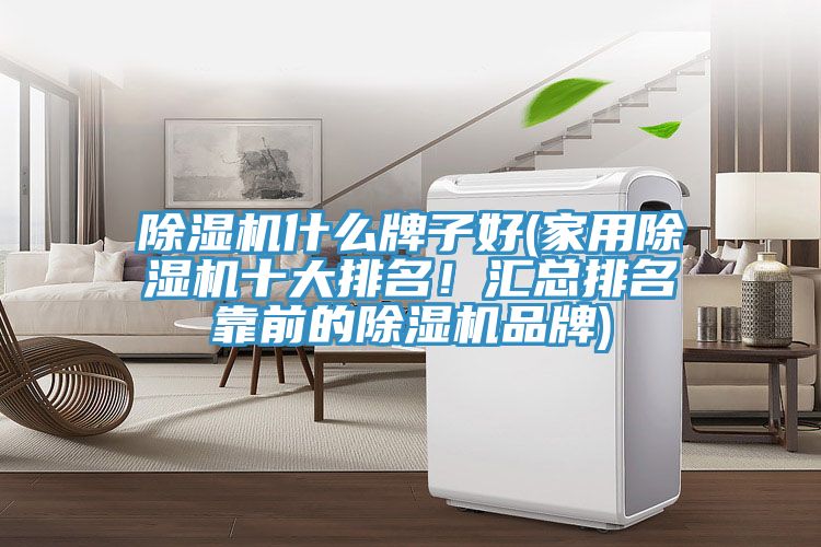 除濕機什么牌子好(家用除濕機十大排名！匯總排名靠前的除濕機品牌)