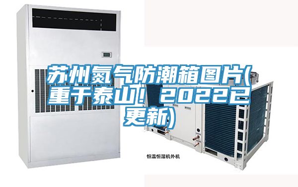 蘇州氮氣防潮箱圖片(重于泰山！2022已更新)