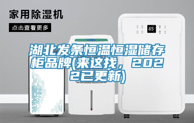 湖北發(fā)條恒溫恒濕儲存柜品牌(來(lái)這找，2022已更新)