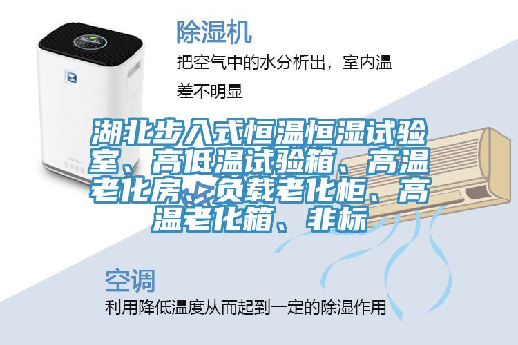 湖北步入式恒溫恒濕試驗室、高低溫試驗箱、高溫老化房、負載老化柜、高溫老化箱、非標