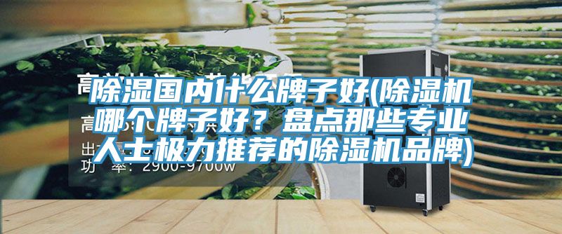 除濕國內什么牌子好(除濕機哪個(gè)牌子好？盤(pán)點(diǎn)那些專(zhuān)業(yè)人士極力推薦的除濕機品牌)