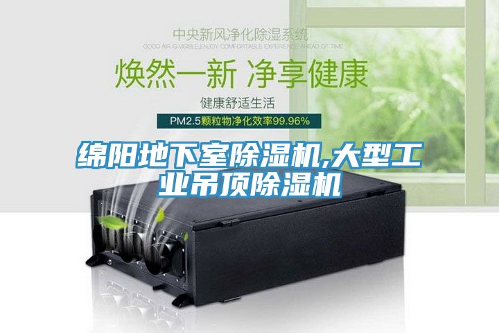 綿陽(yáng)地下室除濕機,大型工業(yè)吊頂除濕機