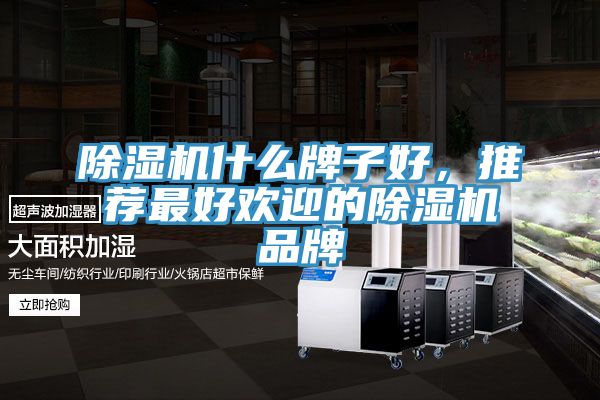除濕機什么牌子好，推薦最好歡迎的除濕機品牌