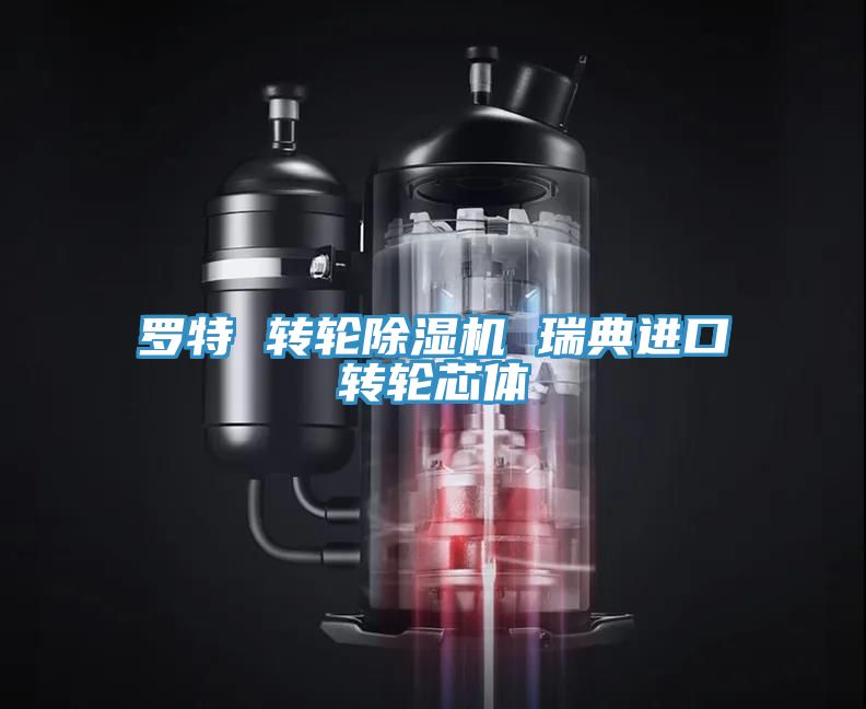 羅特 轉輪除濕機 瑞典進(jìn)口轉輪芯體
