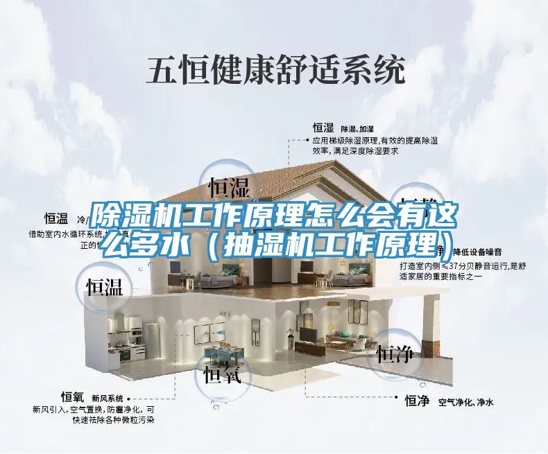 除濕機工作原理怎么會(huì )有這么多水（抽濕機工作原理）
