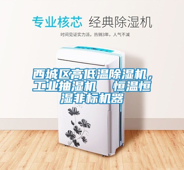 西城區高低溫除濕機，工業(yè)抽濕機  恒溫恒濕非標機器