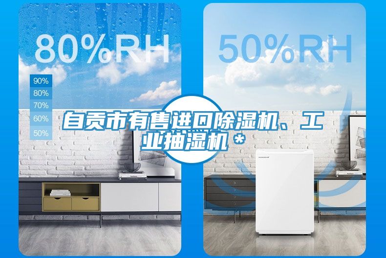 自貢市有售進(jìn)口除濕機、工業(yè)抽濕機＊