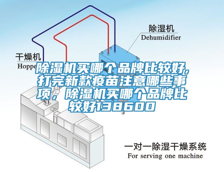 除濕機買(mǎi)哪個(gè)品牌比較好,打完新款疫苗注意哪些事項，除濕機買(mǎi)哪個(gè)品牌比較好138600