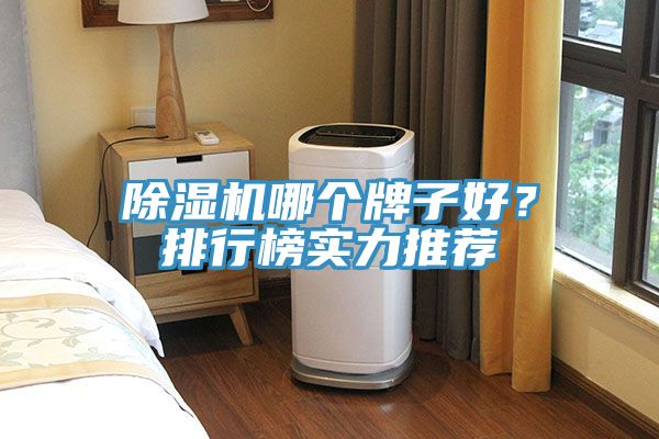 除濕機哪個(gè)牌子好？排行榜實(shí)力推薦