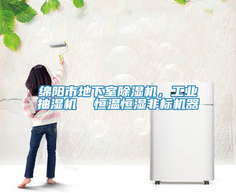 綿陽(yáng)市地下室除濕機，工業(yè)抽濕機  恒溫恒濕非標機器