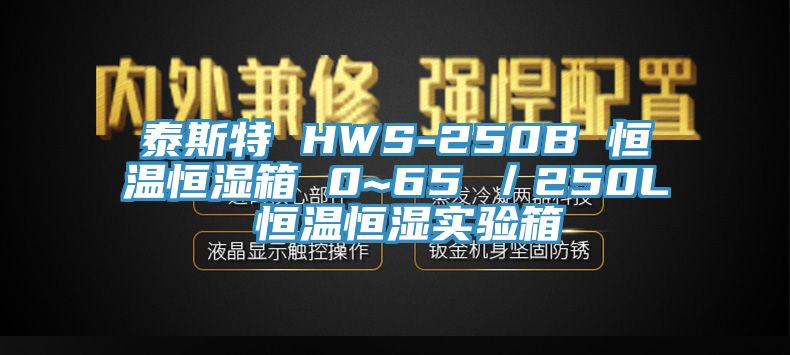 泰斯特 HWS-250B 恒溫恒濕箱 0~65℃／250L 恒溫恒濕實(shí)驗箱