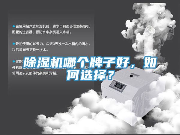除濕機哪個(gè)牌子好，如何選擇？