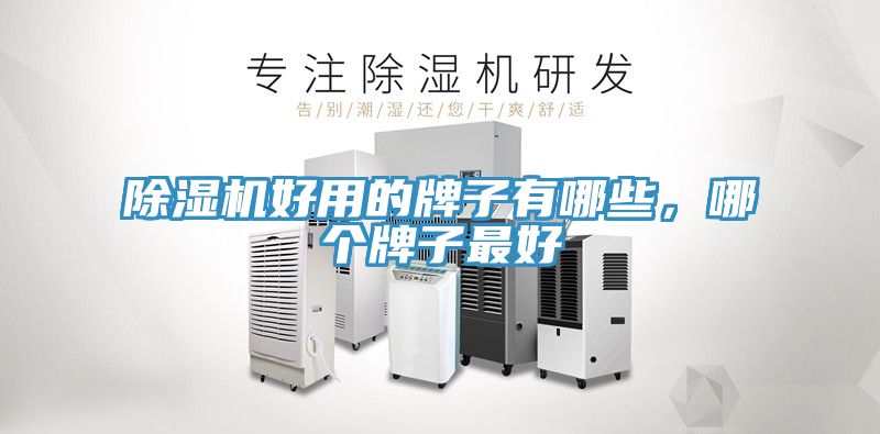 除濕機好用的牌子有哪些，哪個(gè)牌子最好