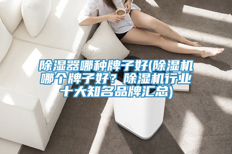 除濕器哪種牌子好(除濕機哪個(gè)牌子好？除濕機行業(yè)十大知名品牌匯總)