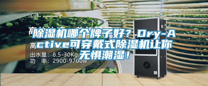 除濕機哪個(gè)牌子好？Dry-Active可穿戴式除濕機讓你無(wú)懼潮濕！