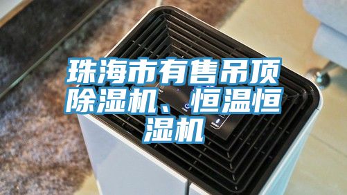 珠海市有售吊頂除濕機、恒溫恒濕機