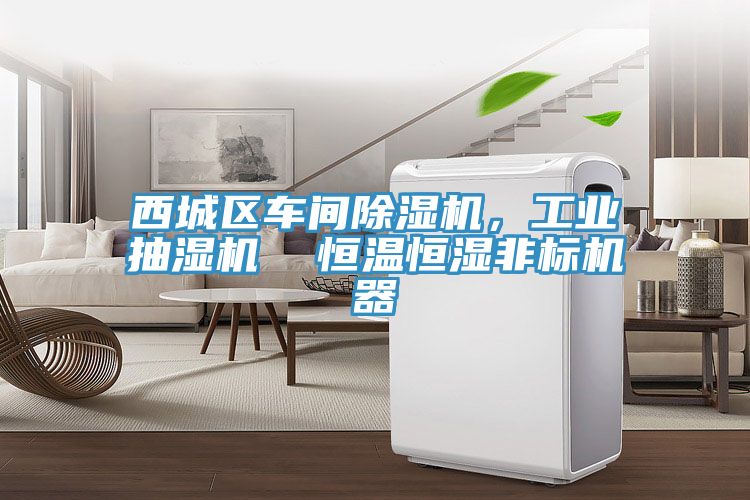 西城區車(chē)間除濕機，工業(yè)抽濕機  恒溫恒濕非標機器