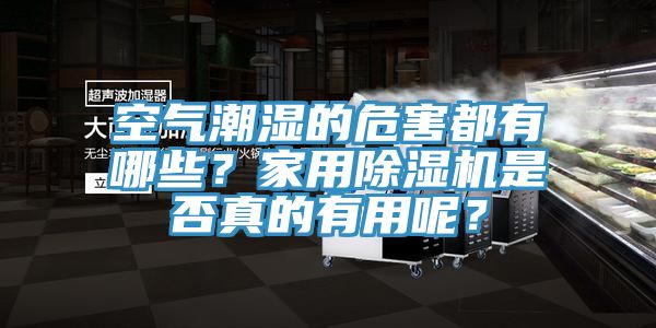 空氣潮濕的危害都有哪些？家用除濕機是否真的有用呢？