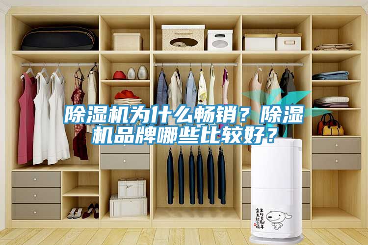 除濕機為什么暢銷(xiāo)？除濕機品牌哪些比較好？