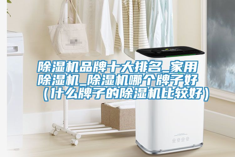 除濕機品牌十大排名_家用除濕機_除濕機哪個(gè)牌子好（什么牌子的除濕機比較好）
