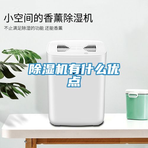 除濕機有什么優(yōu)點(diǎn)