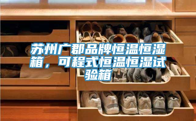 蘇州廣郡品牌恒溫恒濕箱，可程式恒溫恒濕試驗箱