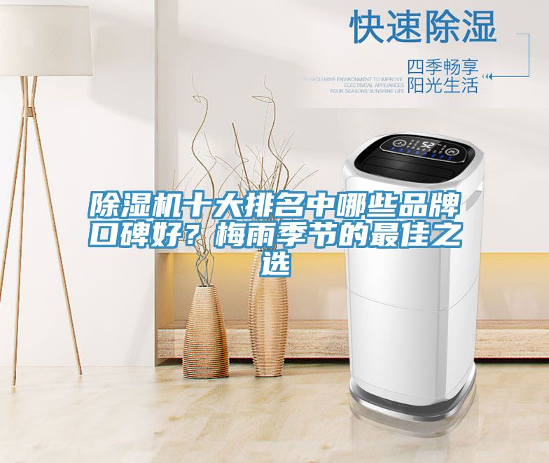除濕機十大排名中哪些品牌口碑好？梅雨季節的最佳之選