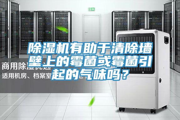 除濕機有助于清除墻壁上的霉菌或霉菌引起的氣味嗎？
