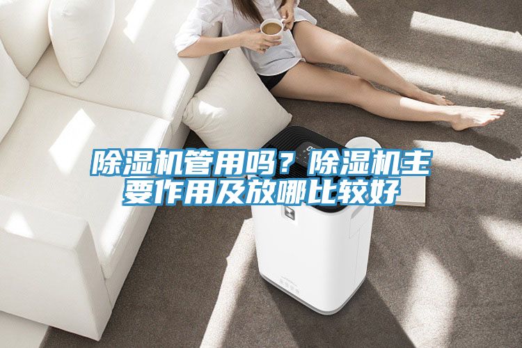 除濕機管用嗎？除濕機主要作用及放哪比較好