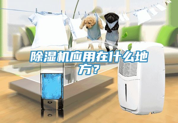 除濕機應用在什么地方？