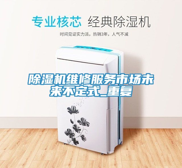 除濕機維修服務(wù)市場(chǎng)未來(lái)不定式_重復