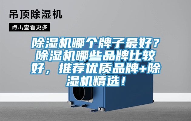 除濕機哪個(gè)牌子最好？除濕機哪些品牌比較好，推薦優(yōu)質(zhì)品牌+除濕機精選！