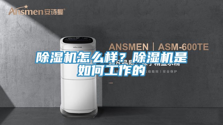 除濕機怎么樣？除濕機是如何工作的