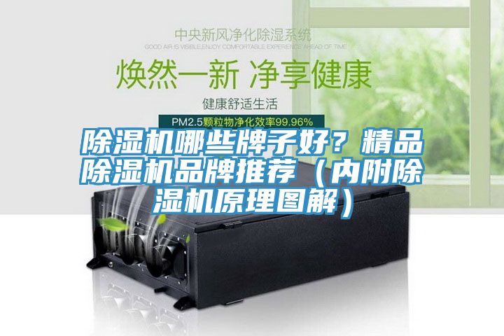 除濕機哪些牌子好？精品除濕機品牌推薦（內附除濕機原理圖解）