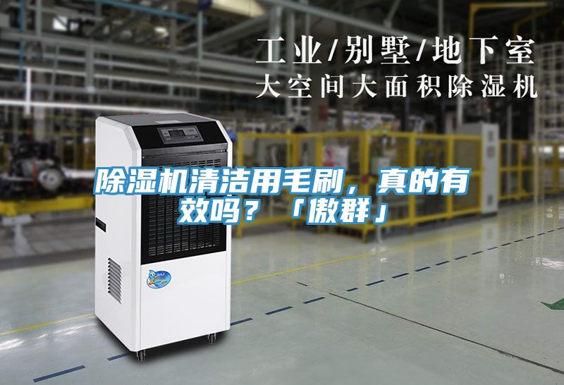 除濕機清潔用毛刷，真的有效嗎？「傲群」