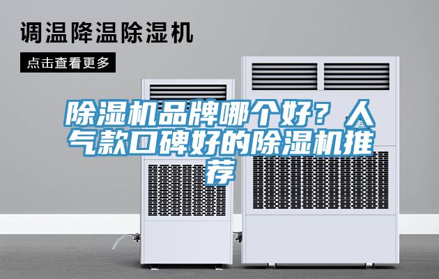除濕機品牌哪個(gè)好？人氣款口碑好的除濕機推薦