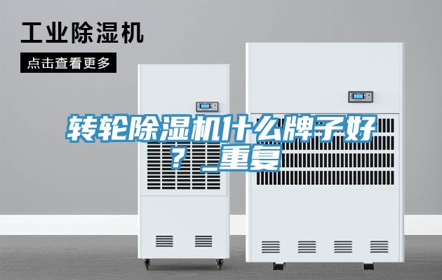 轉輪除濕機什么牌子好？_重復