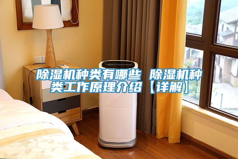 除濕機種類(lèi)有哪些 除濕機種類(lèi)工作原理介紹【詳解】