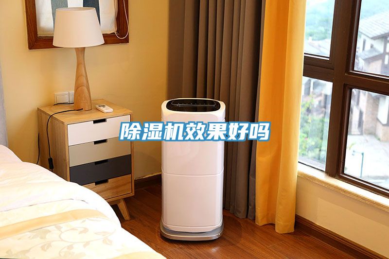 除濕機效果好嗎