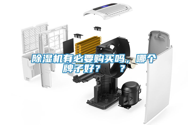 除濕機有必要購買(mǎi)嗎，哪個(gè)牌子好？  ？