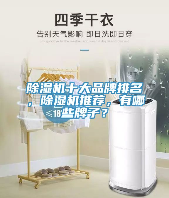 除濕機十大品牌排名，除濕機推薦，有哪些牌子？