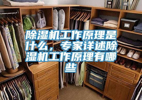 除濕機工作原理是什么，專(zhuān)家詳述除濕機工作原理有哪些