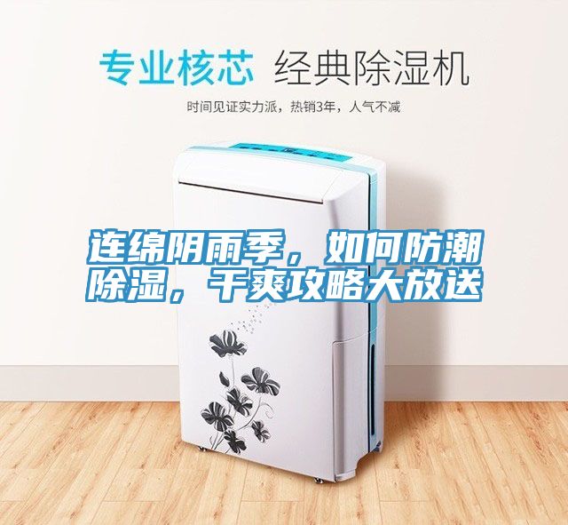 連綿陰雨季，如何防潮除濕，干爽攻略大放送