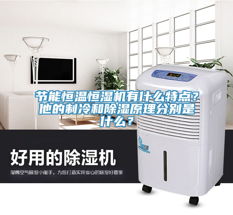節能恒溫恒濕機有什么特點(diǎn)？他的制冷和除濕原理分別是什么？