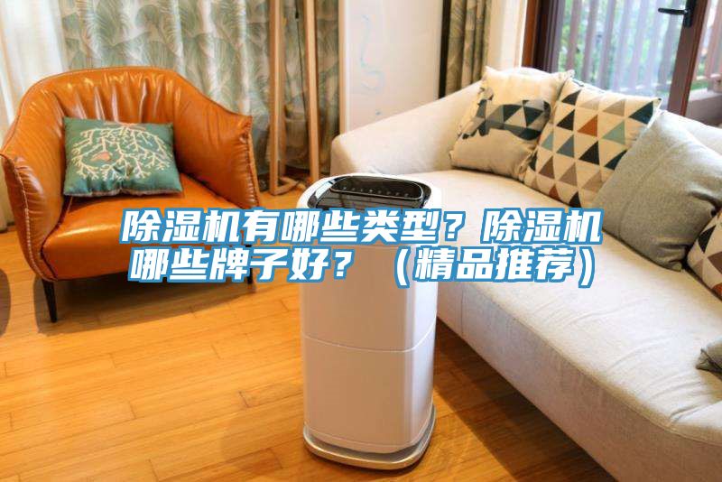 除濕機有哪些類(lèi)型？除濕機哪些牌子好？（精品推薦）
